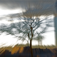 Image for article titled Zoom Photo Challenge Gallery 1